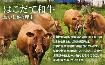 北海道 はこだて和牛 サーロイン 300g 和牛 あか牛 お肉 牛肉 肉 ビーフ 赤身 霜降り 国産 焼肉 焼き肉 ステーキ BBQ バーベキュー ギフト 冷凍 お取り寄せ ご当地 グルメ ギフト 久上工藤商店