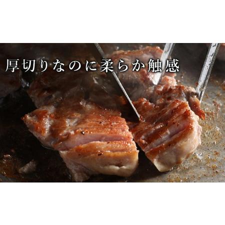 ふるさと納税 訳あり 厚切り 牛タン 塩味 軟化加工 約1kg 牛たん 塩たん 牛 牛肉 肉 お肉 タン 冷凍 焼肉 配送不可：離島 熊本県錦町