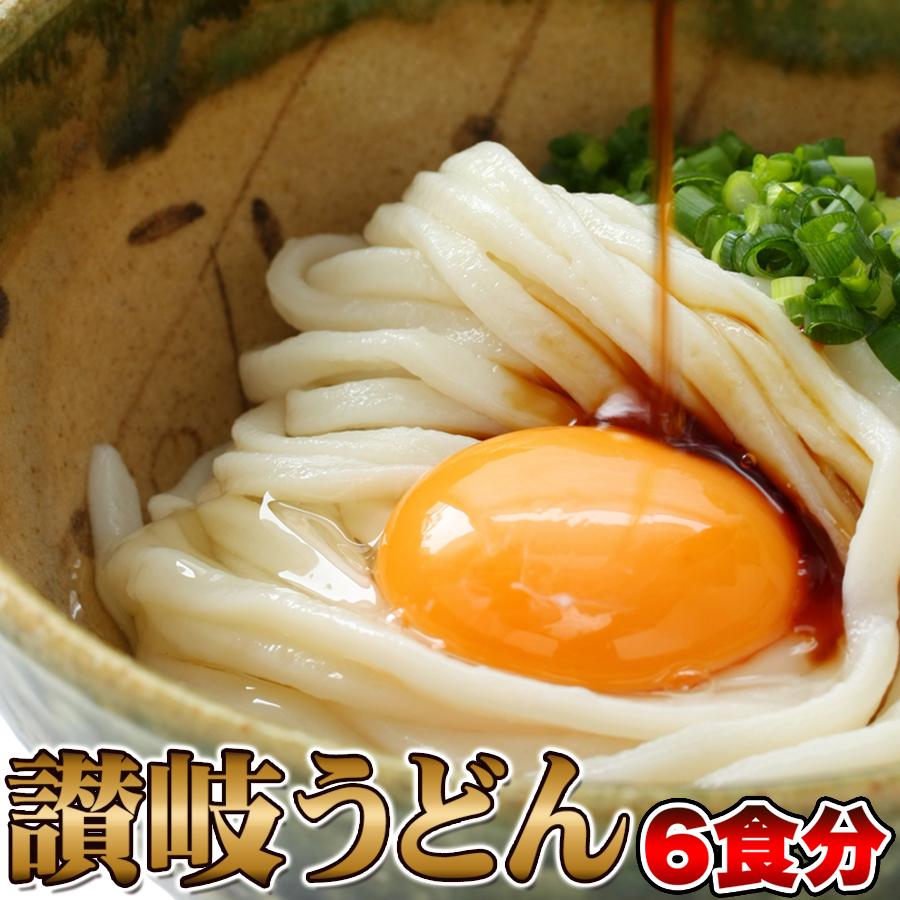 鎌田醤油特製ダシ醤油6袋付き!!讃岐うどん6食分600g（300g×2袋）