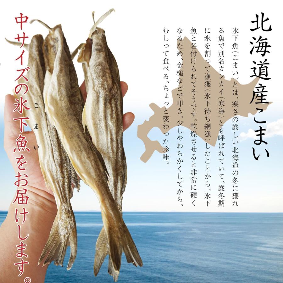 おつまみ 干し 氷下魚(こまい) 約280g 北海道産 干しコマイ 中サイズ 8〜12尾程度 珍味 こまい カンカイ