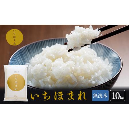 ふるさと納税 無洗米 令和５年産 いちほまれ 10kg 福井 高級ブランド米 お米 おこめ 米 コメ こめ 白米 精米 ご飯 ごはん 福井県 福井県若狭町