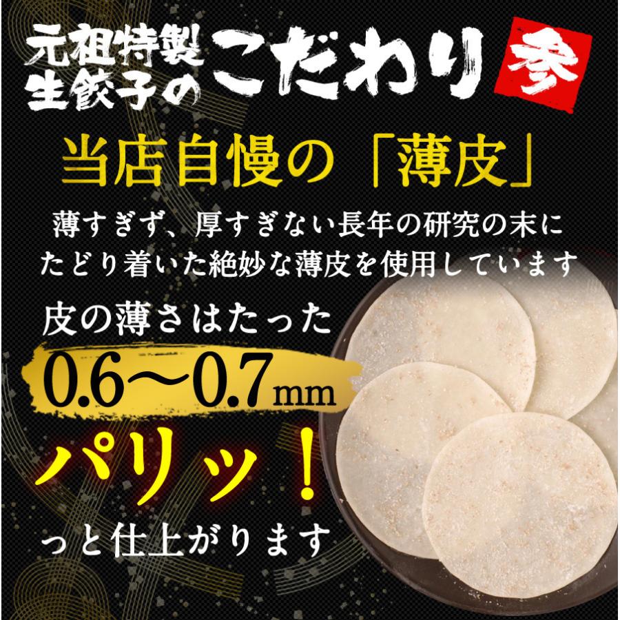 餃子 取り寄せ 送料無料 業務用 冷凍 生餃子 国産素材 時短 お手軽 簡単 大容量 餃子計画 業務用の特製生餃子 200個袋入