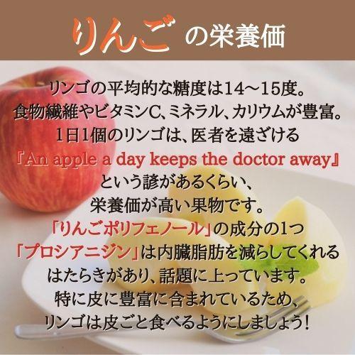 りんご サンふじ L ３kg 箱（約11〜12個入り） 産地直送 送料無料 12月上旬〜順次発送 福島 りんご屋さとう