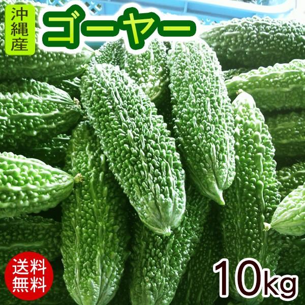 沖縄産 ゴーヤー 約10kg（40〜50本）　冷蔵発送（送料無料）