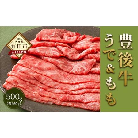 ふるさと納税 大分県竹田市産 おおいた和牛 うで・もも すき焼き用  大分県竹田市