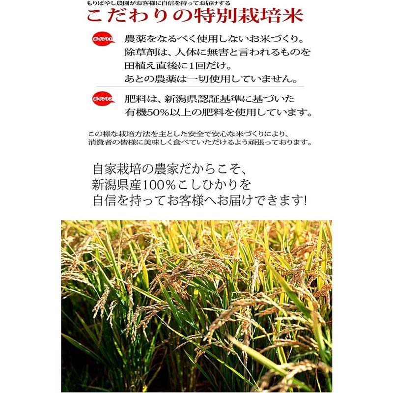 こだわり特別栽培米コシヒカリ白米20kg(10kg×2） もりばやし農園自社栽培
