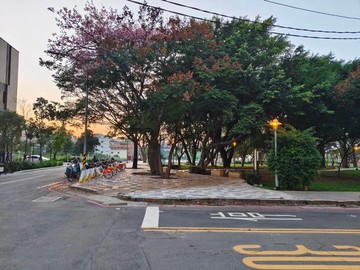 珍珍賞屋平鎮南勢文化公園旁幸福景觀大2房車｜桃園市平鎮區大興街