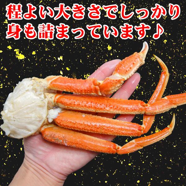 かに カニ ズワイガニ ボイル 蟹脚 総重量1kg 約2人前 4〜5肩入り 送料無料 ずわいがに 鍋 贈答 プレゼント