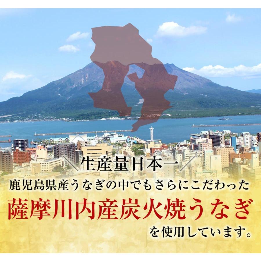 薩摩川内 国産 うなぎ蒲焼 詰合せセット ウナギ 鰻 土用丑の日 鹿児島 母の日 父の日 敬老 ギフト 歳暮