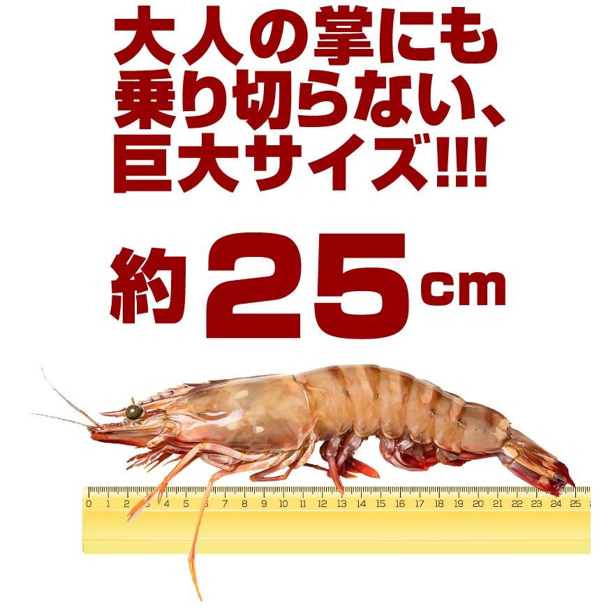 超特大ブラックタイガー 加熱用 8尾入り 1尾約180g 約25cm