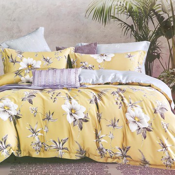 Prawear 巴麗維亞 40%天絲四件式AB版兩用被床包組 千尋  雙人 5尺  被子 + 床罩 + 枕套組