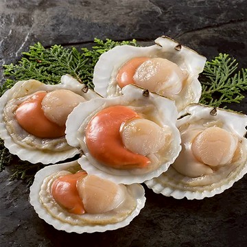 【團購專區】嚴選頂級鮮甜半殼扇貝(約7-8粒，300g/包)