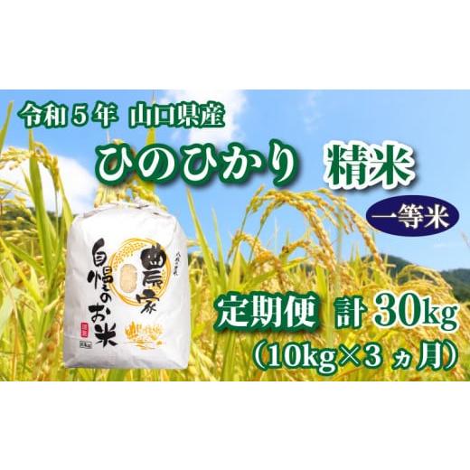 ふるさと納税 山口県 下関市 令和5年 山口県産 ひのひかり 精米 10kg×3回