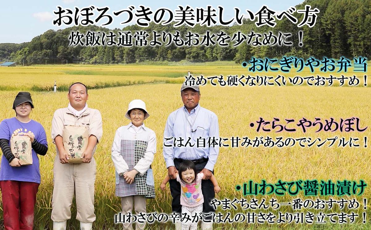 ＜ 予約 定期便 全6回 ＞ 北海道産 希少米 おぼろづき 玄米 5kg ＜2024年10月より配送＞