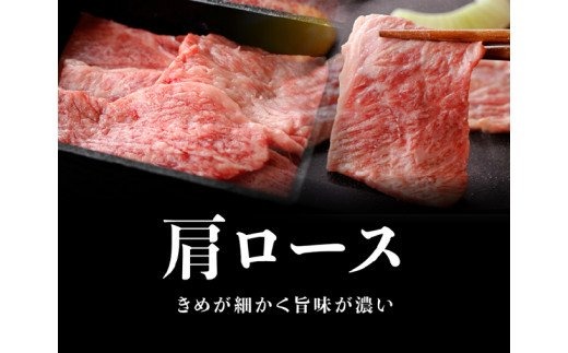 ※令和6年2月より順次発送※ 宮崎牛 焼肉セット 400g 肉 牛 牛肉 国産 黒毛和牛 BBQ 食べ比べ [G0675]