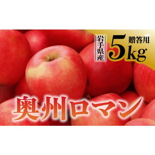 ふるさと納税 岩手県 金ケ崎町  りんご 奥州ロマン 贈答用 5kg 岩手県 金ケ崎町産 10月下旬発送予定