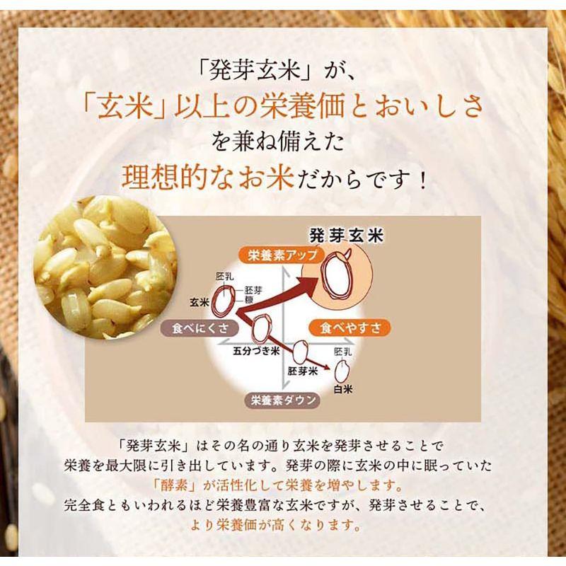 残留農薬ゼロ 発芽酵素玄米炊飯セット 無洗米３合×５（約30食分）ご自宅で作る発芽酵素玄米 かんたん 発芽酵素玄米 発芽玄米 酵素玄米 発酵