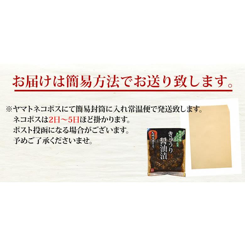 漬物 きゅうり醤油漬 無添加 400g(100g×4袋) 送料無料 九州醤油仕立て ポッキリ お試し 宮崎県産 お取り寄せ きゅうり つけもの