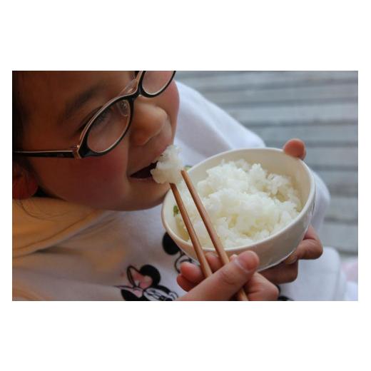 ふるさと納税 長野県 東御市 八重原米 精米(5kg×2袋)