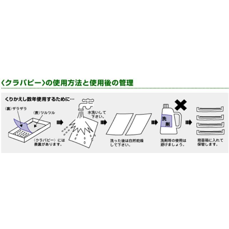 クラパピー CP チェーンポット用 下敷シート ニッテン タ種