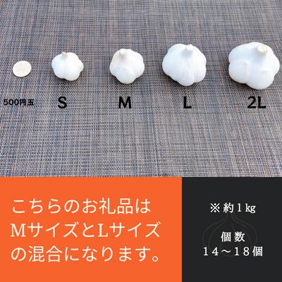 ふるさと納税 田子町 ML size『1kg』