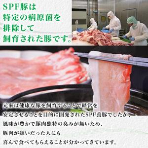 ふるさと納税 東庄町産SPF豚肉／焼肉＆しゃぶしゃぶセット　計2kg 千葉県東庄町