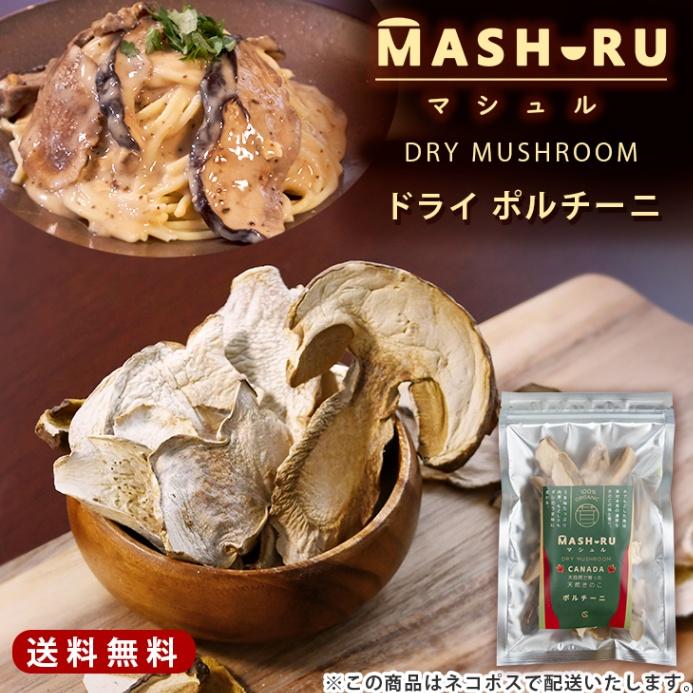 マシュル MASHURU 乾燥ポルチーニ