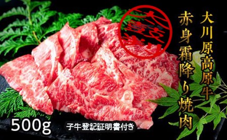 『大川原高原牛』　赤身・霜降り焼肉　500g