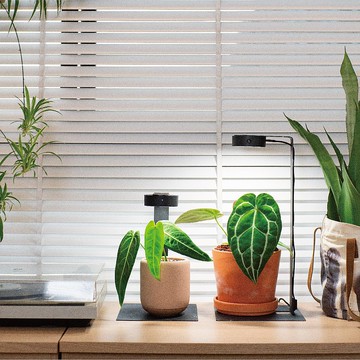 ONF MIST O 植霧光 專屬支架  需另購MIST O植物燈