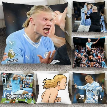 桃園免運🏆哈蘭德周邊 2026世界盃哈蘭德 哈蘭德表情包 搞笑抱枕 北歐巨獸午休超軟靠枕靠墊裝飾 枕頭 生日禮物 驚喜