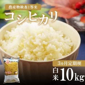 ふるさと納税 お米 コシヒカリ 白米 3回定期 10kg×3回 栃木県真岡市