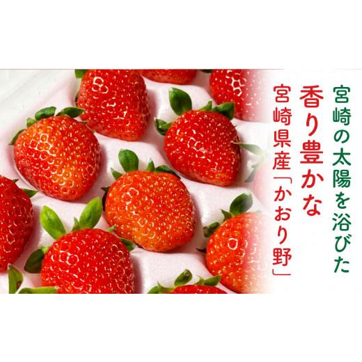 ふるさと納税 宮崎県 宮崎市 宮崎県産イチゴ「かおり野」1パック（360g以上：12粒〜15粒）_M260-013