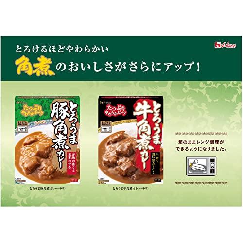 ハウスとろうま牛角煮カレー 200g ×5個 [レンジ化対応・レンジで簡単調理可能]