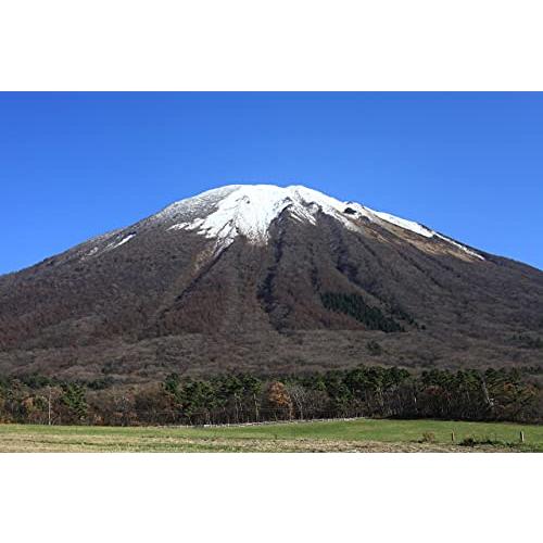 大山牧場便り　ヨーグルトとチーズケーキのギフト (熨斗無)