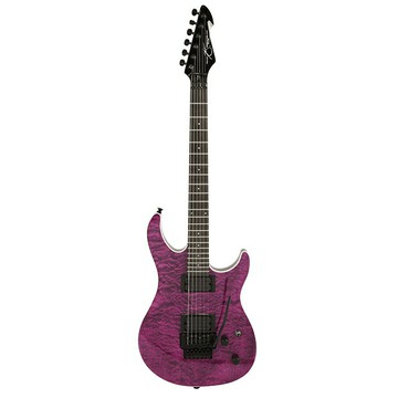 公司貨 Peavey Predator EXP II 雙雙拾音器 大搖座 電吉他(進階首選)【唐尼樂器】