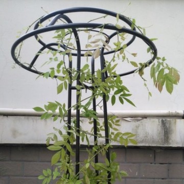 21C Trend 蘑菇植物支撐架  黑色