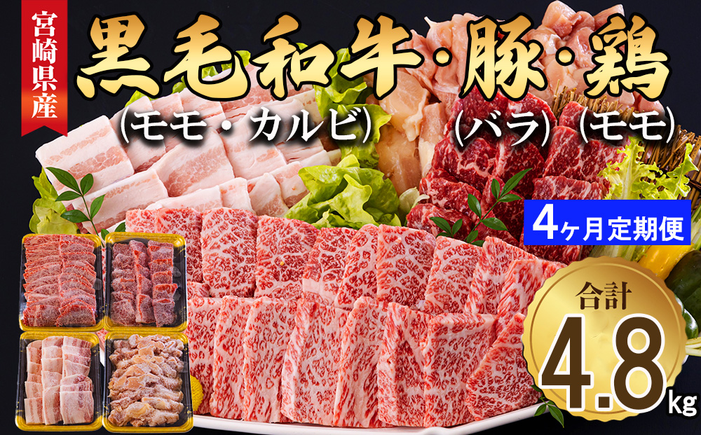  宮崎県産 焼肉 セット 黒毛和牛 モモ カルビ 豚バラ 若鶏 モモ 合計4.8kg 各300g 小分け 冷凍 送料無料 国産 BBQ バーベキュー キャンプ 普段使い 炒め物 丼 カット 詰め合わせ 経産牛