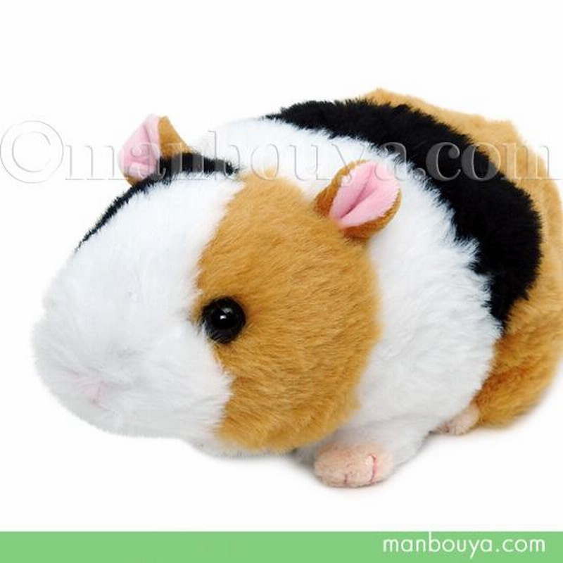 モルモット ぬいぐるみ ネズミ ふわふわ キュート販売 CUTE