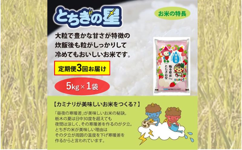 栃木県鹿沼市産 とちぎの星 無洗米 5kg 3回お届け 令和5年産 水稲うるち精米 単一原料米 お米  特A 大粒