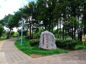 龍岡森林公園超值金透店｜桃園市中壢區龍岡路三段