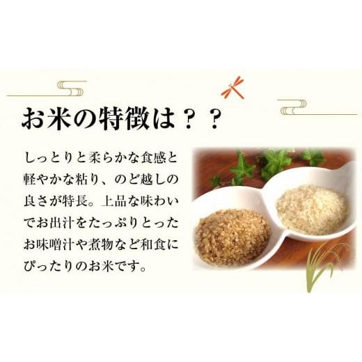 ふるさと納税 秋田県 大仙市 秋田県産おばこの匠あきたこまち　10kg （5kg×2袋）白米