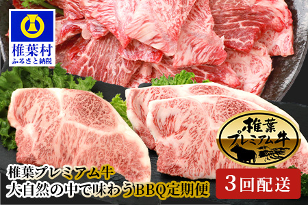 総重量1.8kg！椎葉プレミアム牛 大自然の中で味わうBBQ定期便≪焼き肉・ステーキ≫