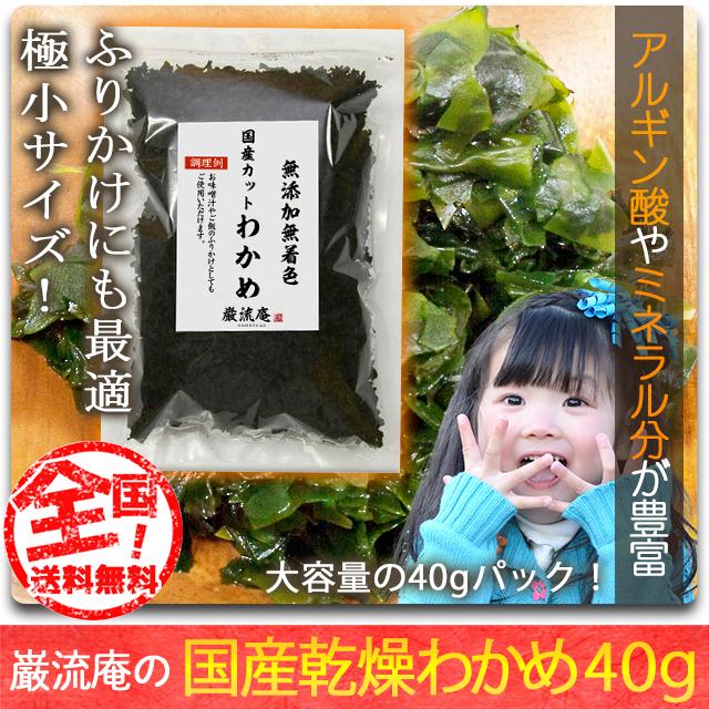 乾燥 わかめ カットわかめ 徳島県産 送料無料 40gセット 国産品 乾燥 ワカメ ふりかけ にもおすすめ ポイント消化 paypay Tポイント消化