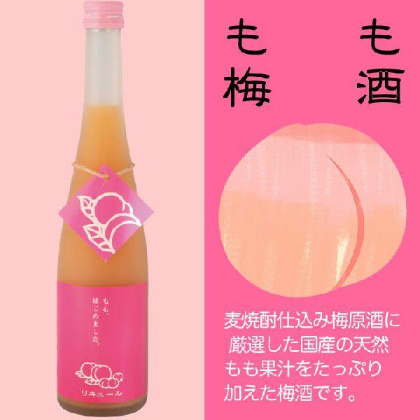 九州 ギフト 2025 篠崎 もも梅酒 もも、はじめました。 500ml 8
