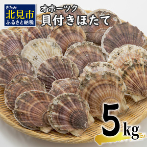 オホーツク貝付きほたて 5kg(30枚～50枚)( 海鮮 魚介 魚介類 貝 貝類 ホタテ ほたて 帆立 殻付き 貝柱 贈答 ギフト 贈り物 お中元 お祝い BBQ バーベキュー