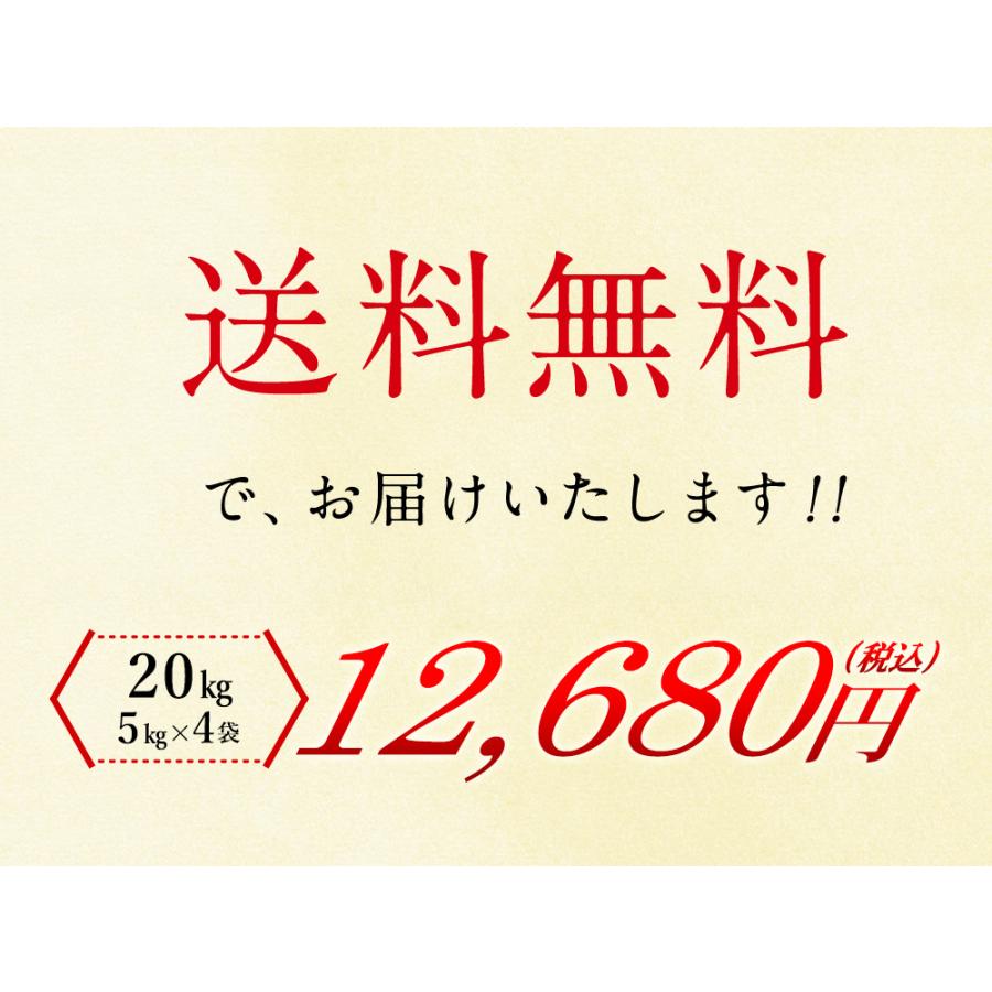 新米 魚沼産（新潟県）コシヒカリ 20kg（5kg×4袋）  送料無料 令和5年度産 魚沼産 新潟県産 お米 20kg（北海道・沖縄別途送料）（配達日・時間指定は不可）