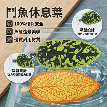 陸龜驛站｜鬥魚休息葉 鬥魚築巢 鬥魚床 產卵 繁殖吐泡 半月鬥魚 馬尾鬥魚 冠尾鬥魚 鬥魚 鬥魚吐泡