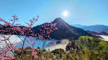 獅潭仙山絕美豪華農莊別墅｜苗栗縣獅潭鄉小東勢