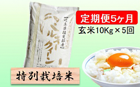 特別栽培米★[定期便] 5カ月★毎月 玄米10kg