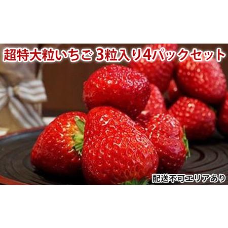 ふるさと納税 超特大粒いちご3粒入り4パックセット 兵庫県小野市